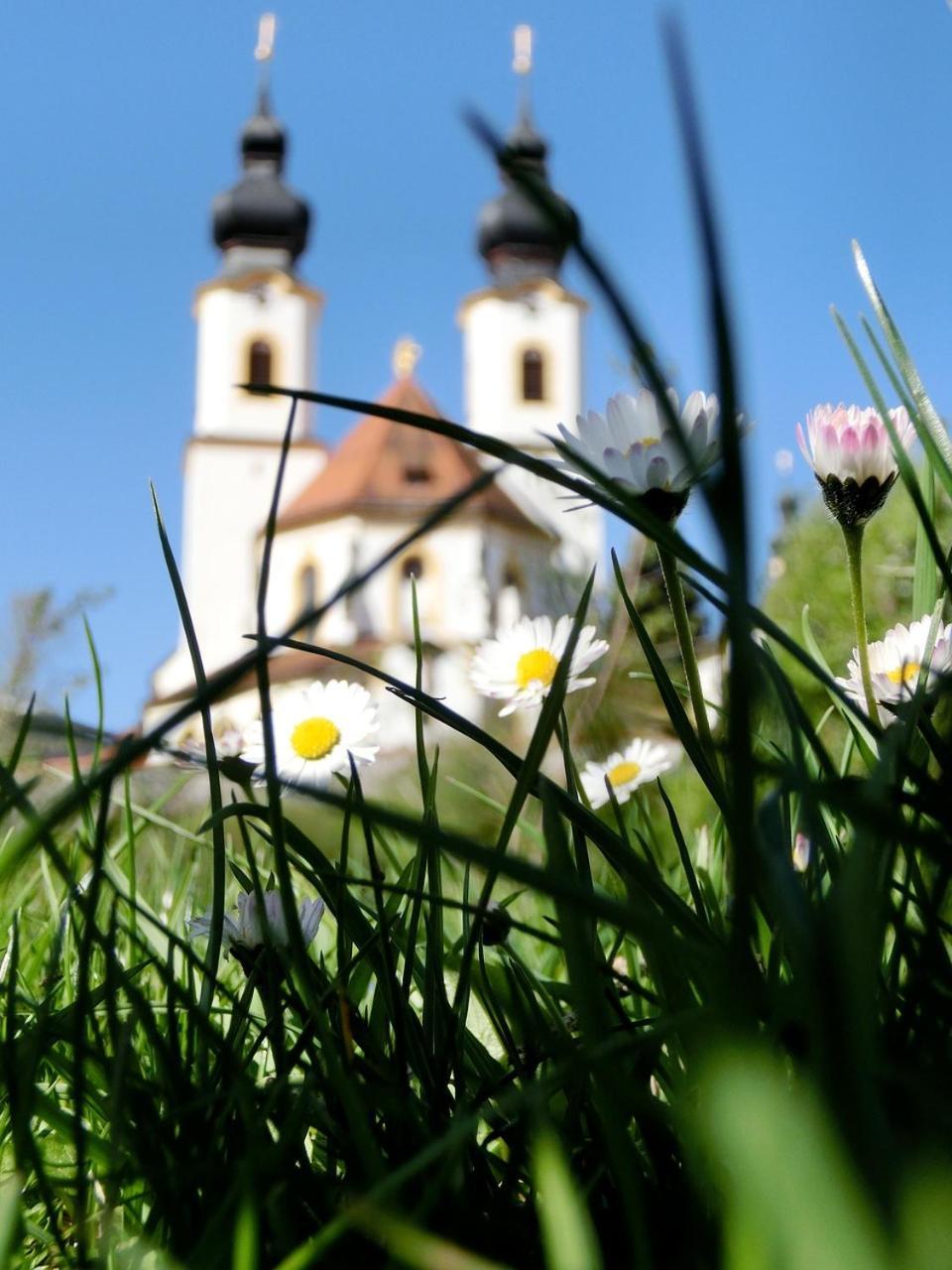 Apartment Kampenwand Aschau im Chiemgau Zewnętrze zdjęcie